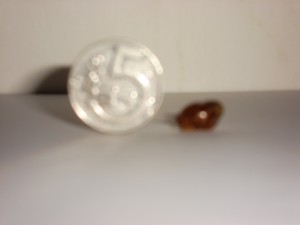 DSC00937.JPG